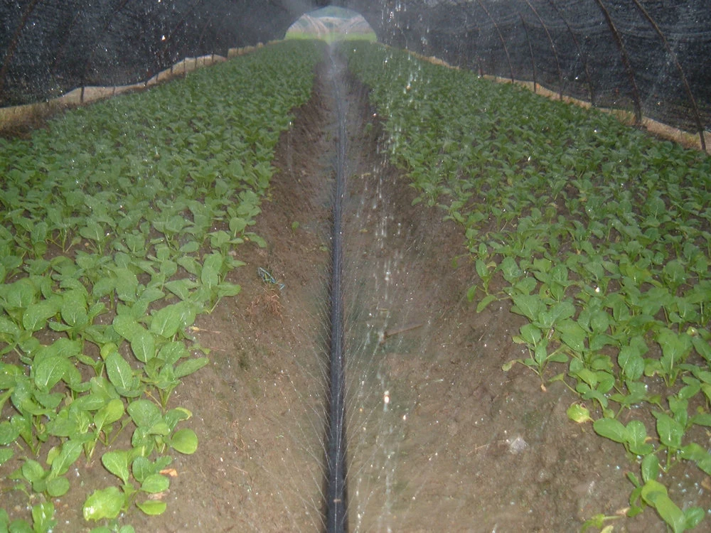 PE Materials Agricultural Irrigation Water Micro Rain Spray Tube Hose Drip Water Hose