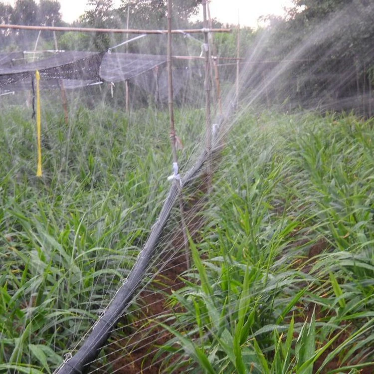 PE Materials Agricultural Irrigation Water Micro Rain Spray Tube Hose Drip Water Hose