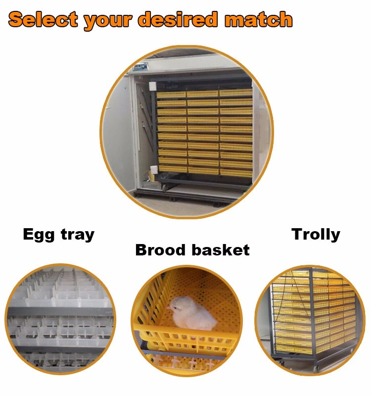 Digital Hatchery Egg Incubator Temperature Small Brooder for Chicken Duck Bird Pigeon Quail Eggs