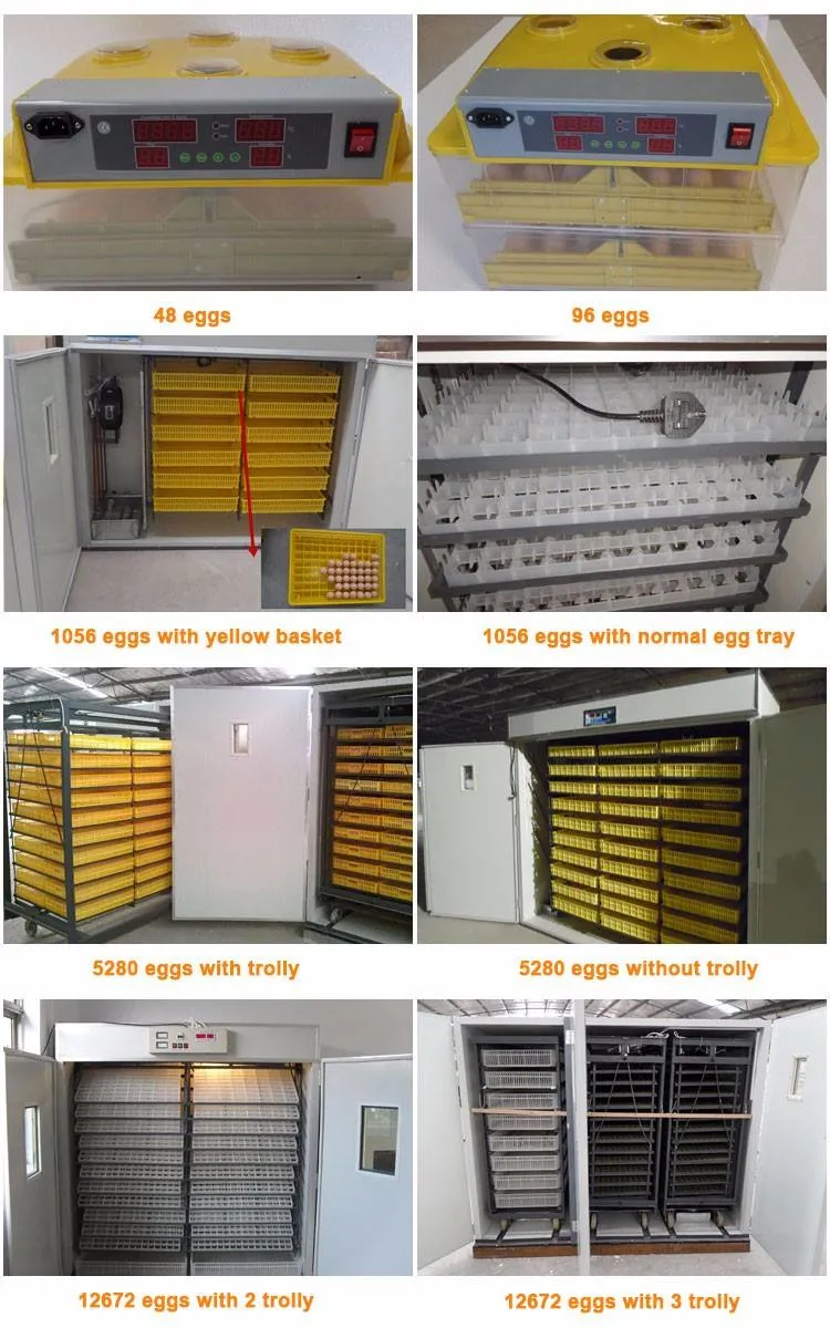 Digital Hatchery Egg Incubator Temperature Small Brooder for Chicken Duck Bird Pigeon Quail Eggs